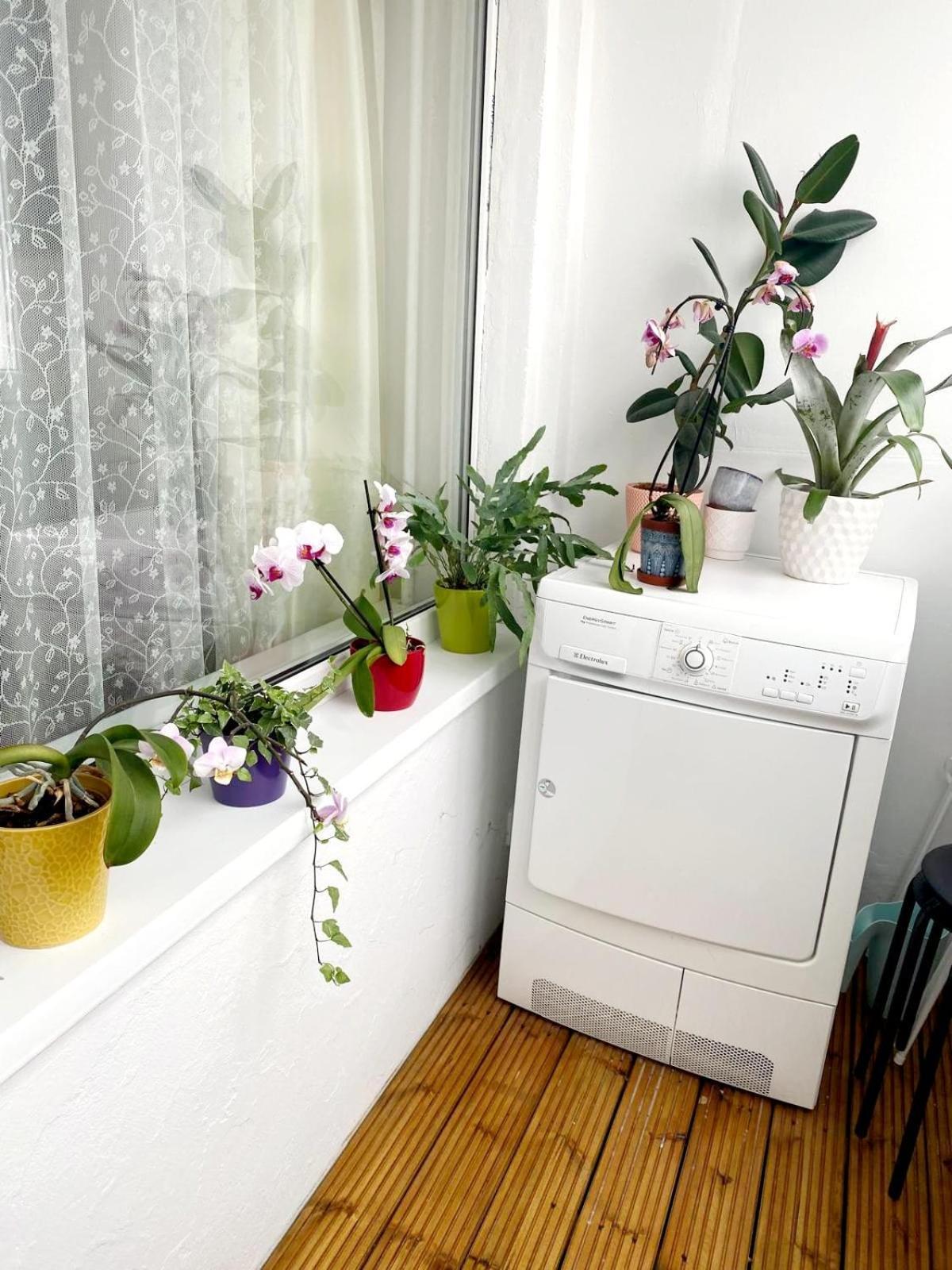 Seaview Flat Apartment Liepaja Exterior photo